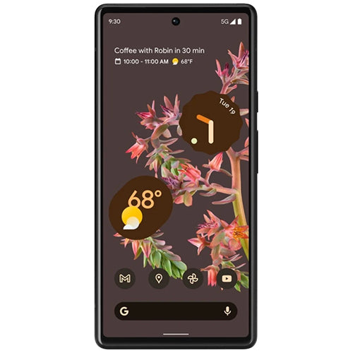 Google Pixel 6 5G 8GB RAM